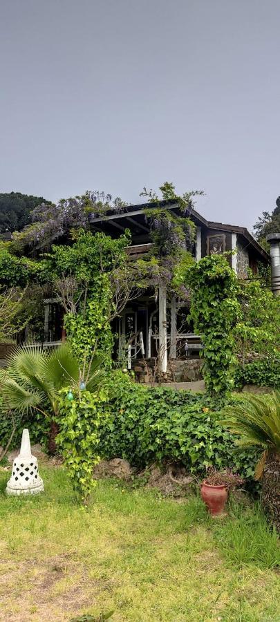 Mare Maravella Costa Brava Nature トルデラ エクステリア 写真
