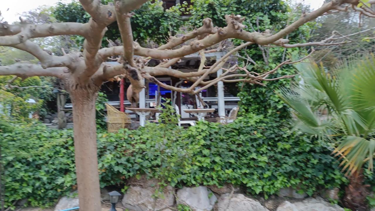 Mare Maravella Costa Brava Nature トルデラ エクステリア 写真